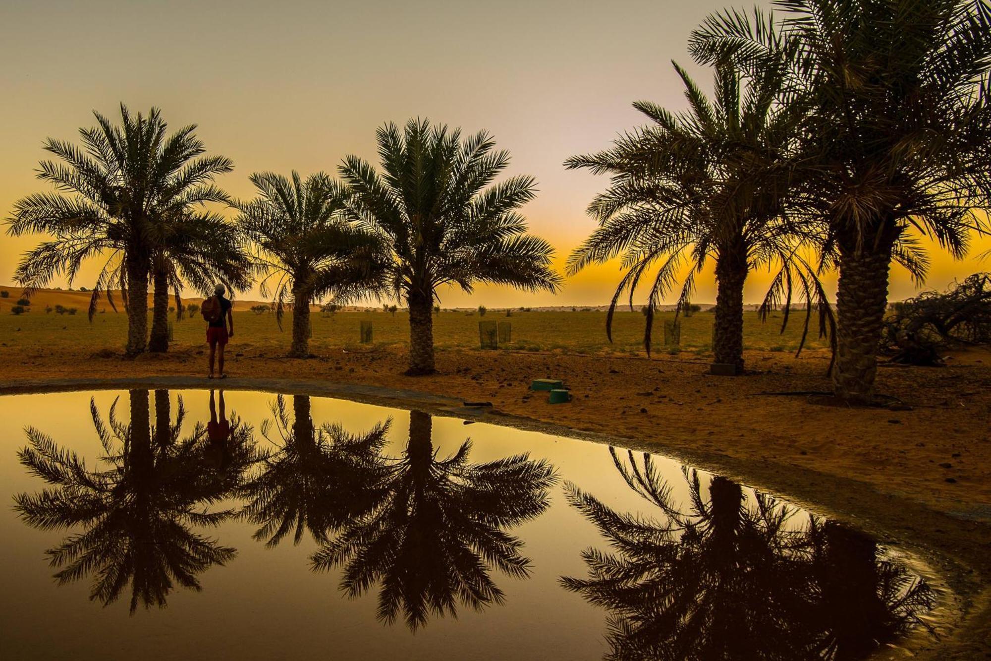 المها، صحراوي ونادي صحي من لاكشري كوليكشِن، دبي المرقاب